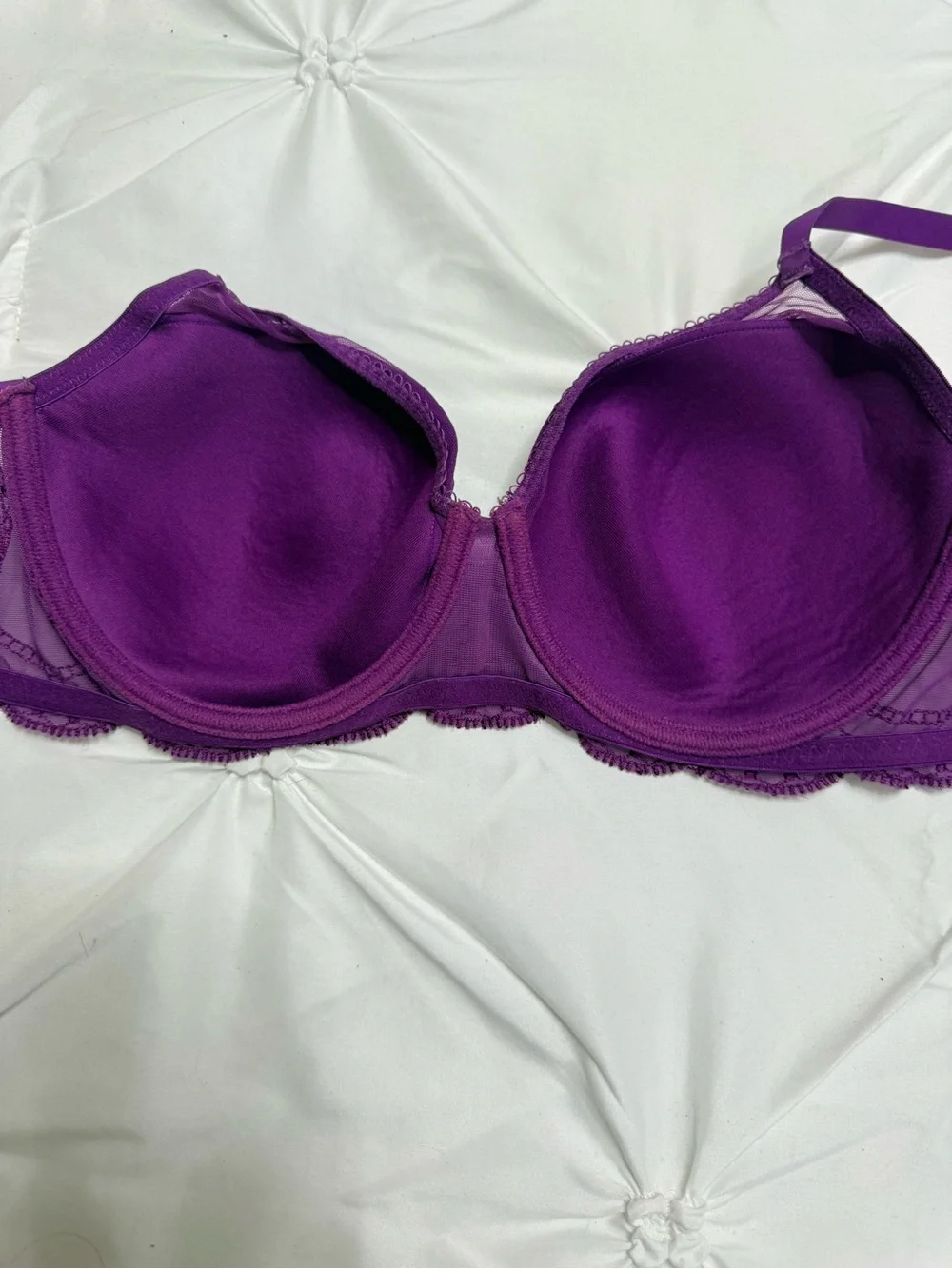 Zara Purple Lace-Trim Push-Up Bra